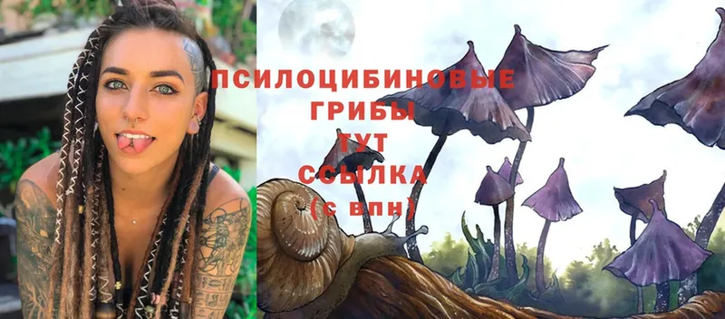 Галлюциногенные грибы Magic Shrooms  KRAKEN как войти  Копейск  наркотики 